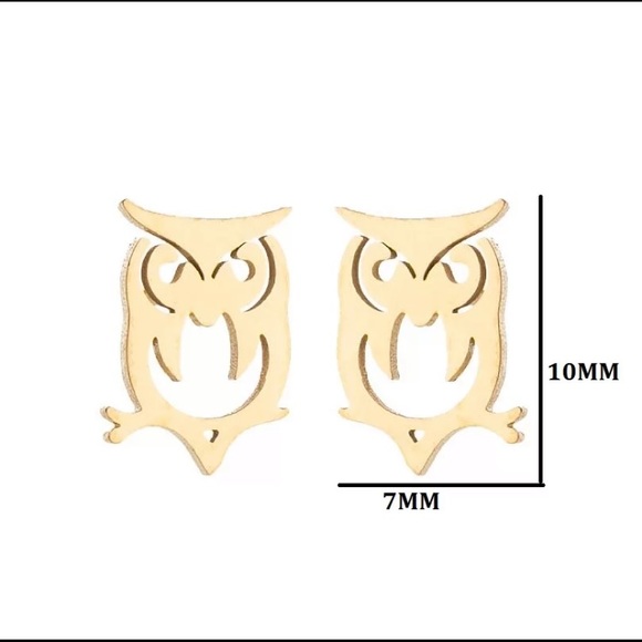 Stainless Steel Owls🦉 Stud Earrings - Picture 2 of 3